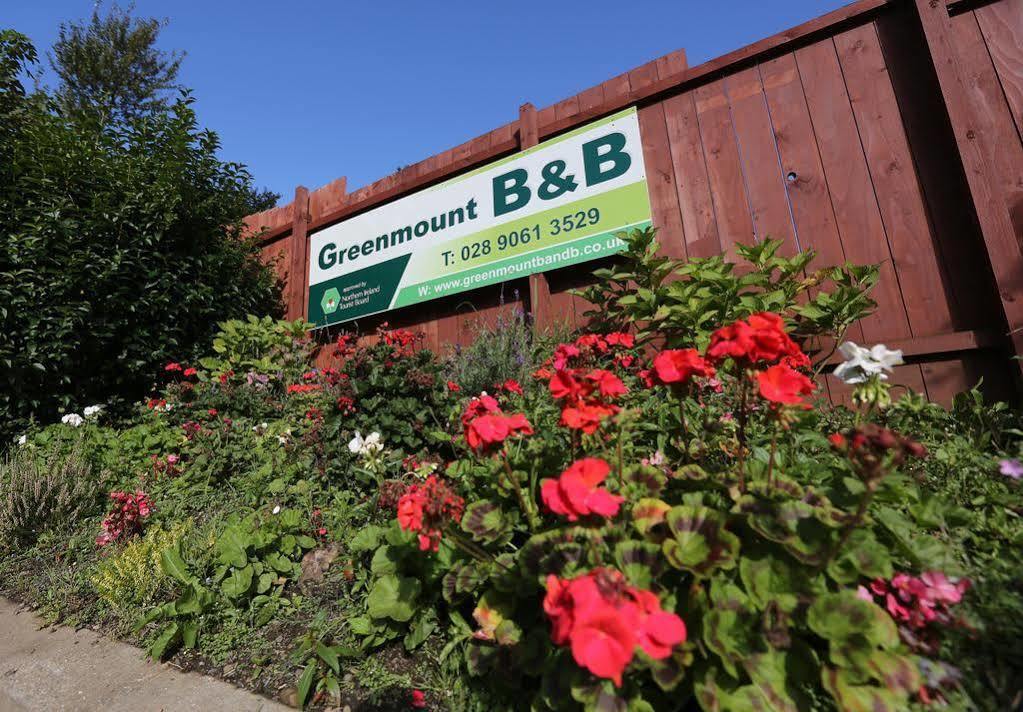 Greenmount Bed And Breakfast Belfast Exteriör bild